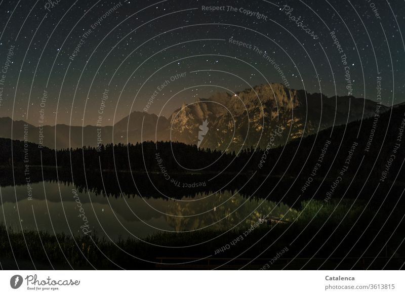 Nachts, am Bergsee Nachtaufnahme Berge & Gebirge See Wald Tannenwald Sterne Nachthimmel Ruhe Spiegelung Stille Alpen Reflexion & Spiegelung Wasser Himmel