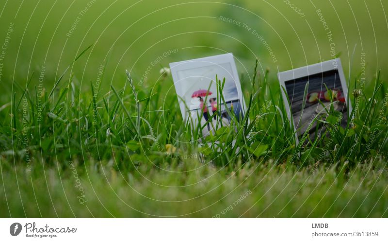 Polaroid im Grünen Duo Gras Wiese instax mini pink grün Lebensfreude Natur Freundinnen Schirm Tiefenunschärfe Picknick Sonnenbrille Ausflug Sommer Jugendliche