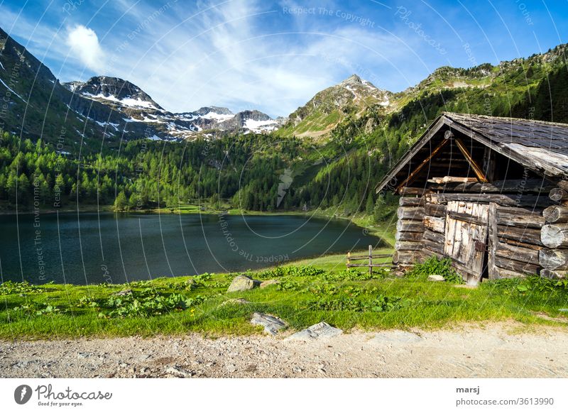 Alte Hütte am Duisitzkarsee Gebirgssee See Alpen Natur Tourismus Ferien & Urlaub & Reisen Berge u. Gebirge wandern ruhig Ausflug Alm einzigartig Berghütte