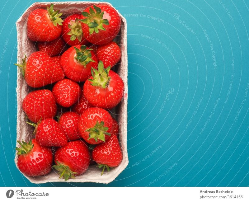 Frische Bio-Erdbeeren, Blick von oben Natur Feinschmecker Gesundheit Makro essen Ernährung lecker pulsierend Lebensmittel frisch rot Dessert süß Frucht