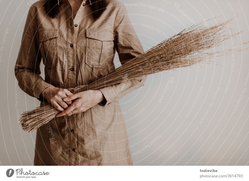 Frau, die in einem Atelier mit weißer Wand ein Bündel getrocknetes Stroh in der Hand hält Mode Behaarung Pflanze Weizen Natur Schönheit jung Feld Korn Porträt