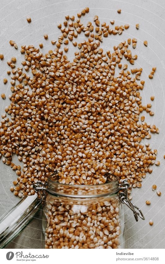 Maissamen und ein Glasbehälter auf grauem Hintergrund Lebensmittel Samen braun vereinzelt Korn Bestandteil trocknen Müsli Gesundheit organisch Haufen Saatgut