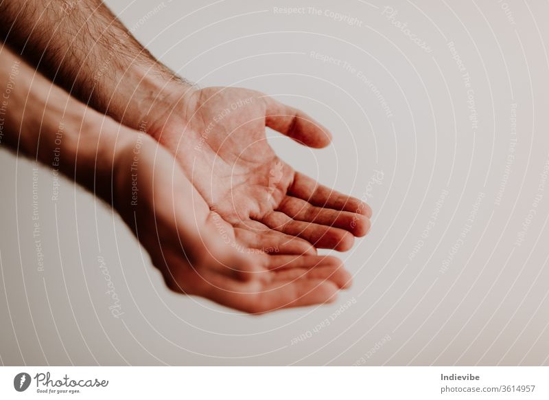 Zwei saubere Hände betteln um etwas mit sichtbarer Handfläche vereinzelt menschlich Kind Menschen weiß Freundschaft Pflege Finger zwei Nahaufnahme schütteln