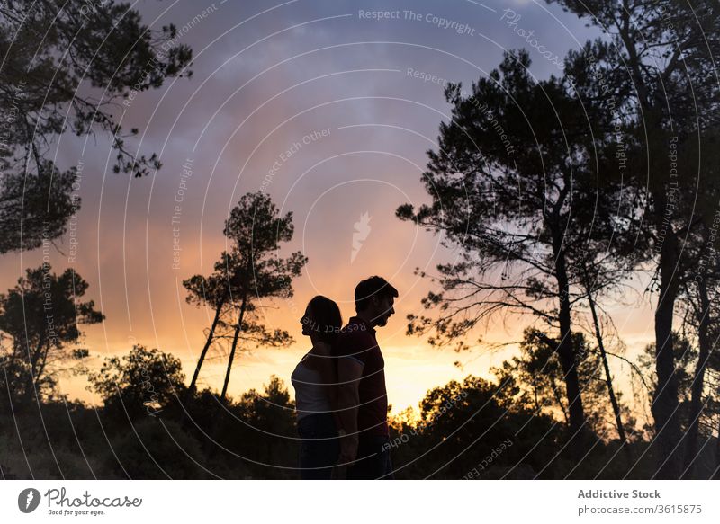Verliebtes Ehepaar bei Sonnenuntergang im Wald Rücken an Rücken Paar Zusammensein Einheit Händchenhalten Angebot dunkel erstaunlich Partnerschaft romantisch