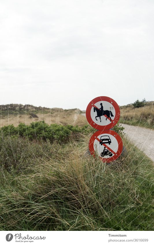 Hübsche Verkehrsschilder auf einem ohnehin ruhigen Weg Dänemark Wege & Pfade Himmel Dünen Dünengras Natur Ferien & Urlaub & Reisen Farbfoto Verkehrszeichen