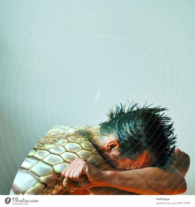 turtels human Mann Zukunft Industrie aufbringen Reptil Haut Nahaufnahme Natur Krokodil Tierwelt Farbe wild Lebewesen Wildtierfotografie Wildtiere Naturschutz