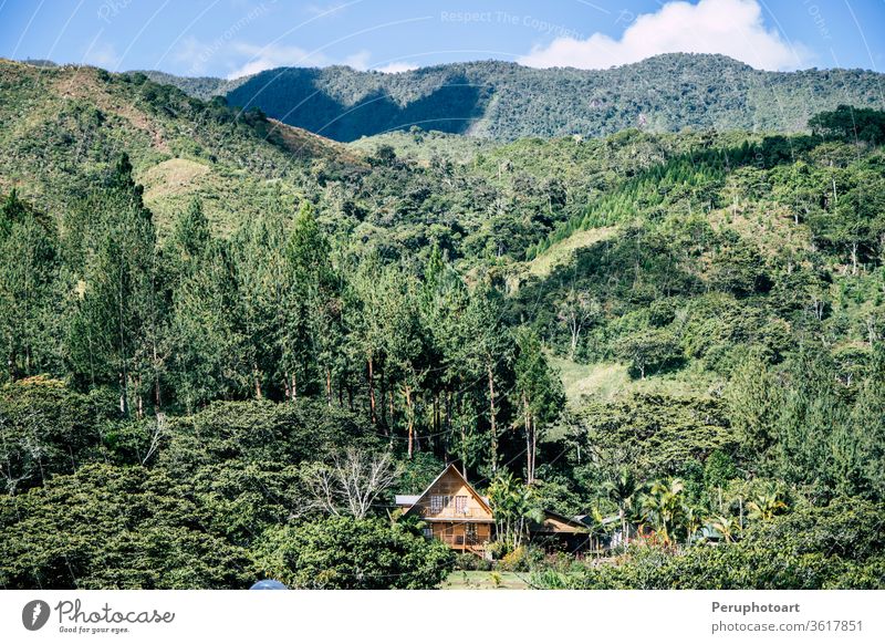 Häuser in Oxapampa im peruanischen Dschungel Abenteuer Amazonas amerika Anden Hintergrund schön Schönheit blau Farbe farbenfroh Deutschland grün historisch Haus