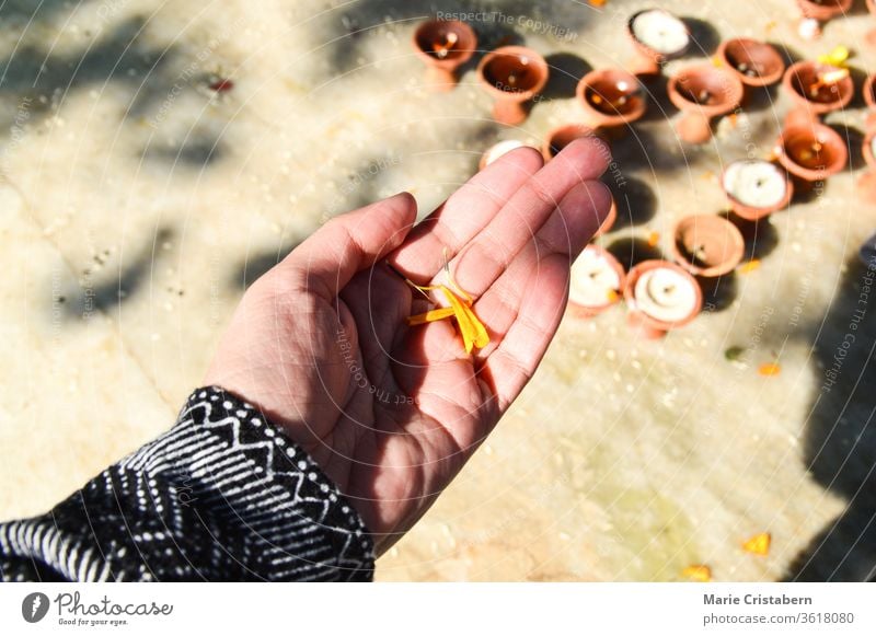 Ringelblumenblüten in der Hand als Holi-Opfer während des Diwali-Festes diwali Hinduismus Religion Textfreiraum kulturell Frieden Symbol frohes Diwali Wohlstand