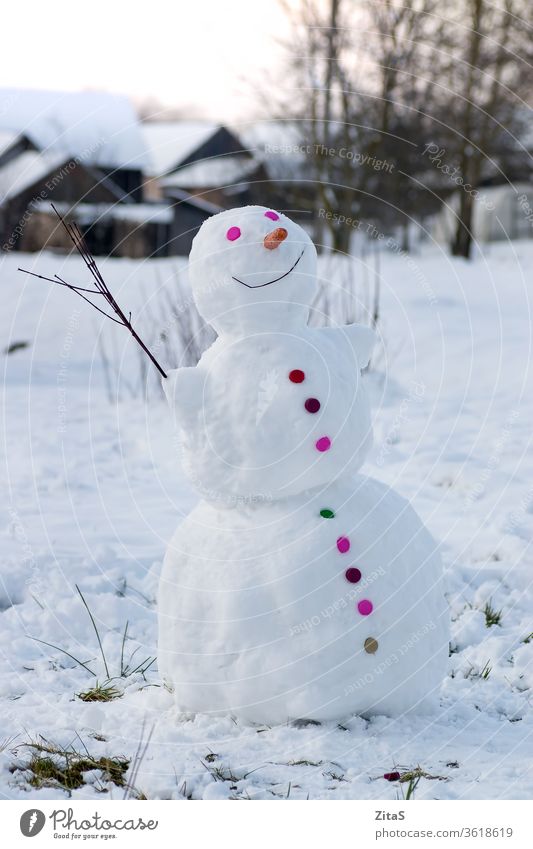 Lächelnder Schneemann im Dorf farbenfroh Schaltfläche weiß Glück Knöpfe Möhre Nase Winter im Freien Ast kalt