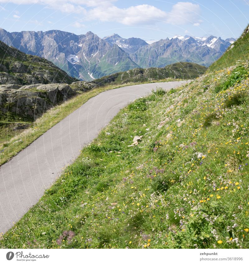 Eine schmale Asphaltstrasse zieht über eine blühende Bergwiese, im Hintergrund eine Bergkette Alpen Straße Frühsommer Berge u. Gebirge Landschaft