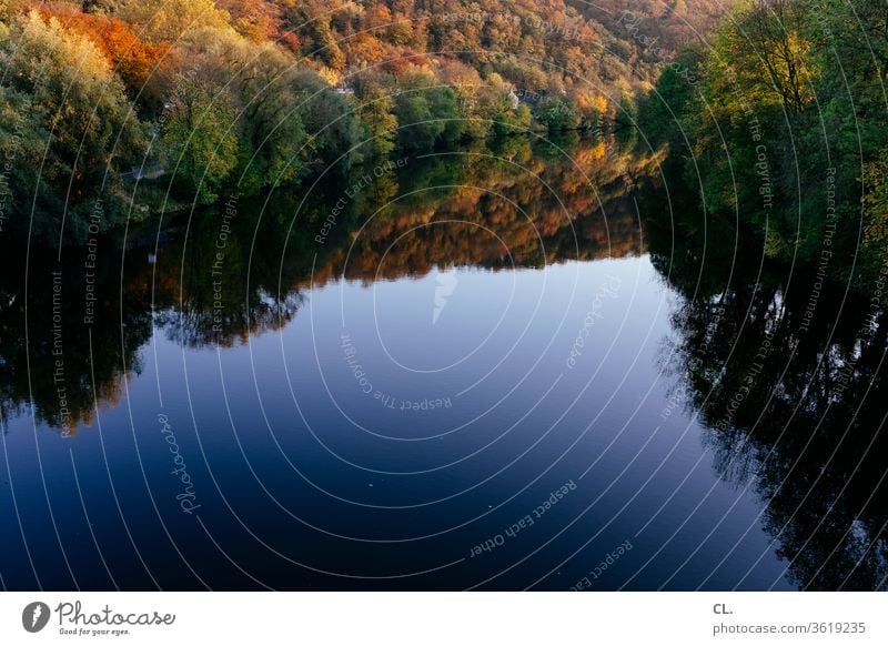 ruhr Natur Fluss Wald Baum Wasser See Landschaft ruhig Reflexion & Spiegelung Ruhe Herbst herbstlich Wasseroberfläche Schönes Wetter Idylle