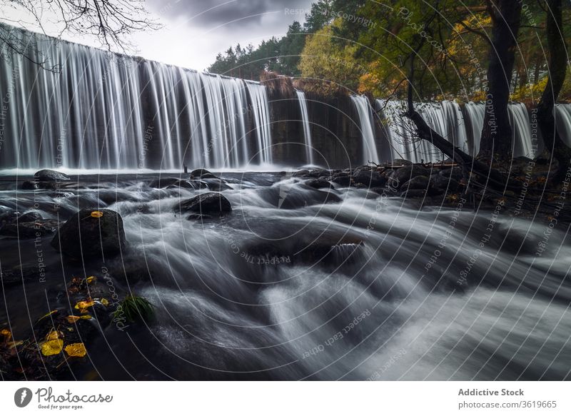 Wunderschöner Wasserfall im Herbstwald Fluss Wald strömen fließen Landschaft felsig wolkig trist malerisch reißend Natur Baum Umwelt fallen wild Laubwerk