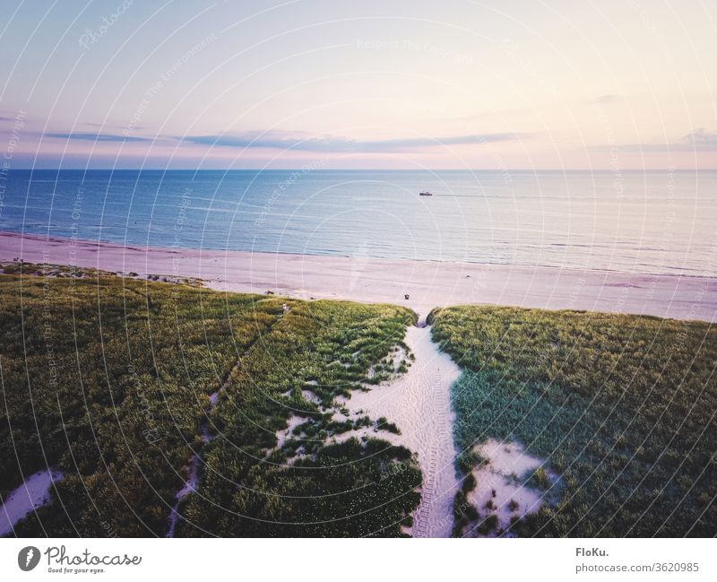 Blick über die Dünen Westjütlands Nordsee Dänemark natur landschaft horizont ulraub tourismus küste küstenlandschaft dünen dünengras strand erholung reisen