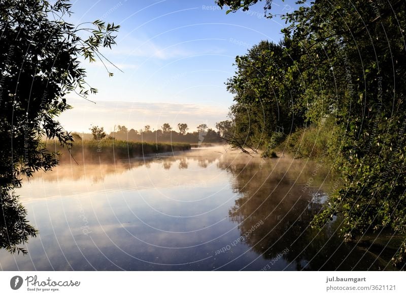 Morgenstimmung am See Sonnenaufgang Sommer Spiegelung Wasser Bäume im See Farbenspiel Reflexion & Spiegelung Landschaft Menschenleer Natur