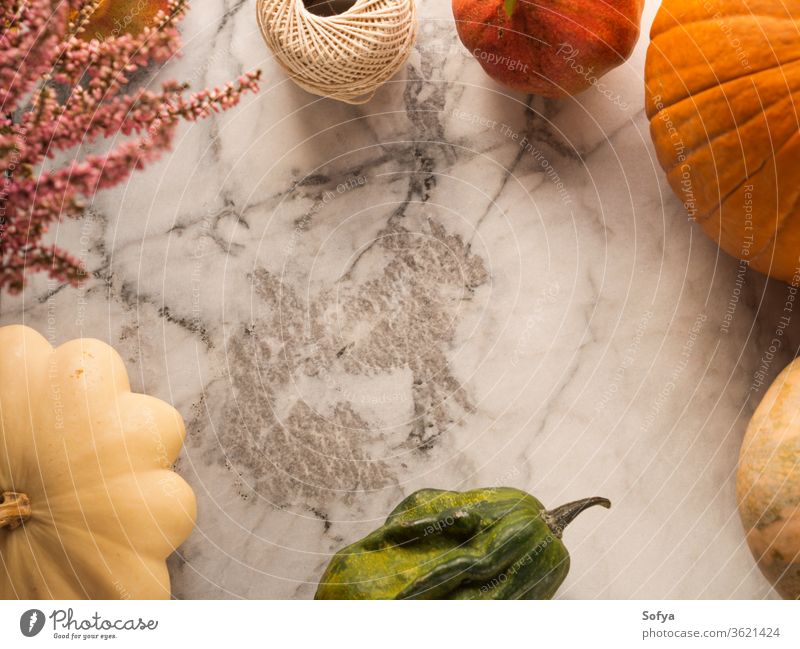 Herbst-Ernte-Rahmen Hintergrund Erntedankfest Murmel Kürbis Squash Design Lebensmittel Halloween Saison orange Oktober Einladung Blätter Abendessen Tisch fallen