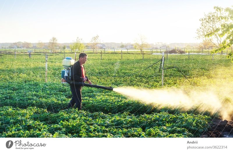 Ein Landwirt besprüht eine Kartoffelplantage mit einer antimykotischen Chemikalie. Chemikalien in der Landwirtschaft einsetzen. Landwirtschaft und Agrobusiness, Agrarindustrie. Kampf gegen Pilzinfektionen und Insekten.