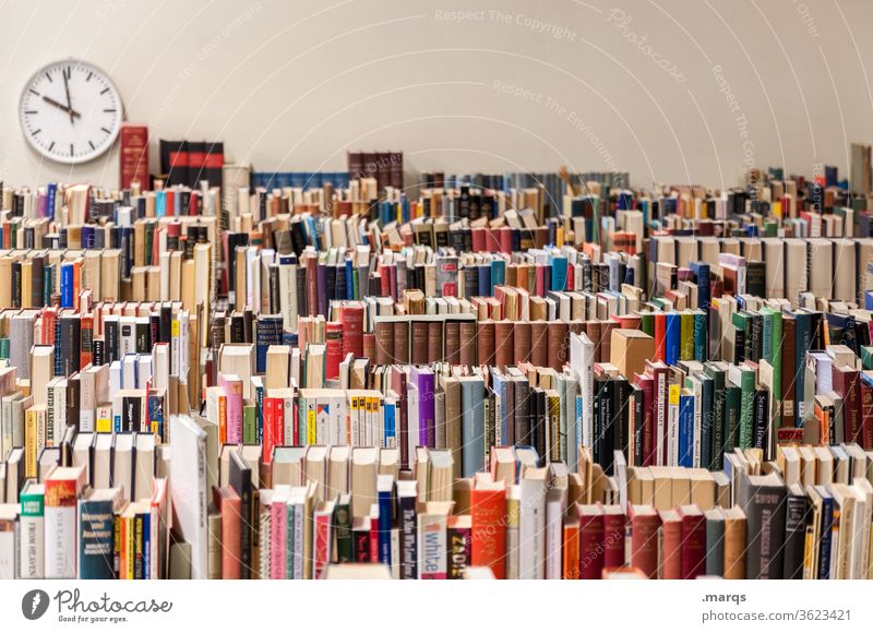 Bibliothek Buch Bildung Wissen lesen lernen Literatur Studium Information Weisheit Wissenschaften Schule Universität Uhr