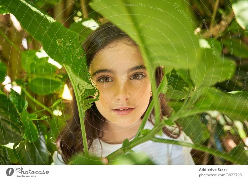 Lächelndes Mädchen im grünen Garten Baum Sommer positiv Laubwerk Kind Porträt Glück charmant brünett Park Natur frisch Inhalt genießen bezaubernd Ast ruhig