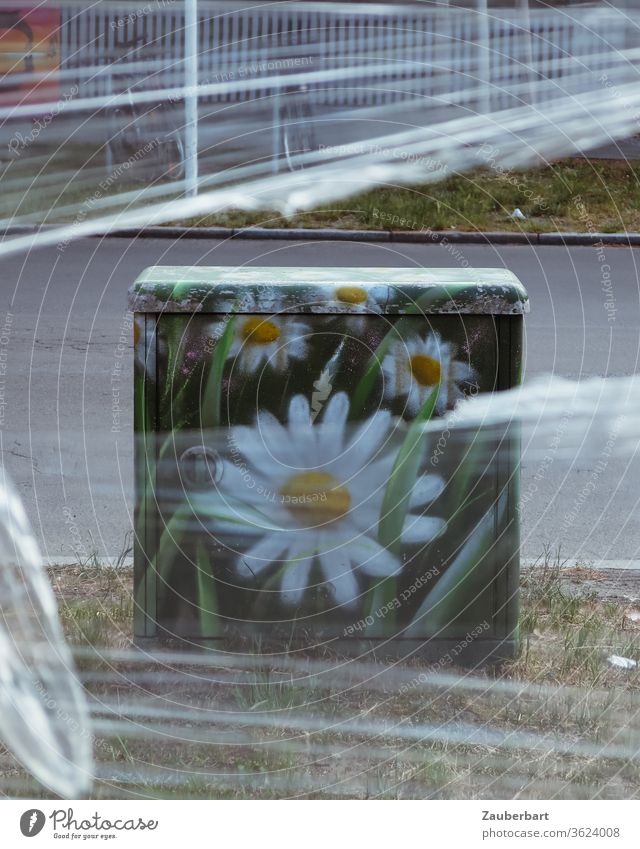 Stattblume - Multifunktionsgehäuse, grauer Kasten mit Blüte der Margarite (Leucanthemum) bemalt, hinter Plastikfolie an Straße Blume Folie Stadt Großstadt Rasen