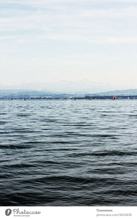 Segelboote auf dem Bodensee und dahinter Hügel und Berge Wasser Wellen Horizont Berge u. Gebirge Himmel Wolken blau Landschaft Natur See Schönes Wetter