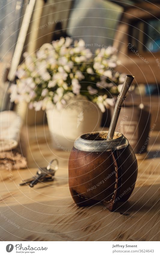 Einen Mate Tee? Getränk trinken Gesundheit Kräuter & Gewürze Teekanne Pulver Matcha-Tee Argentinien Pflanze Schlüssel grün Holz yerba Paraguay Uruguay Matecito