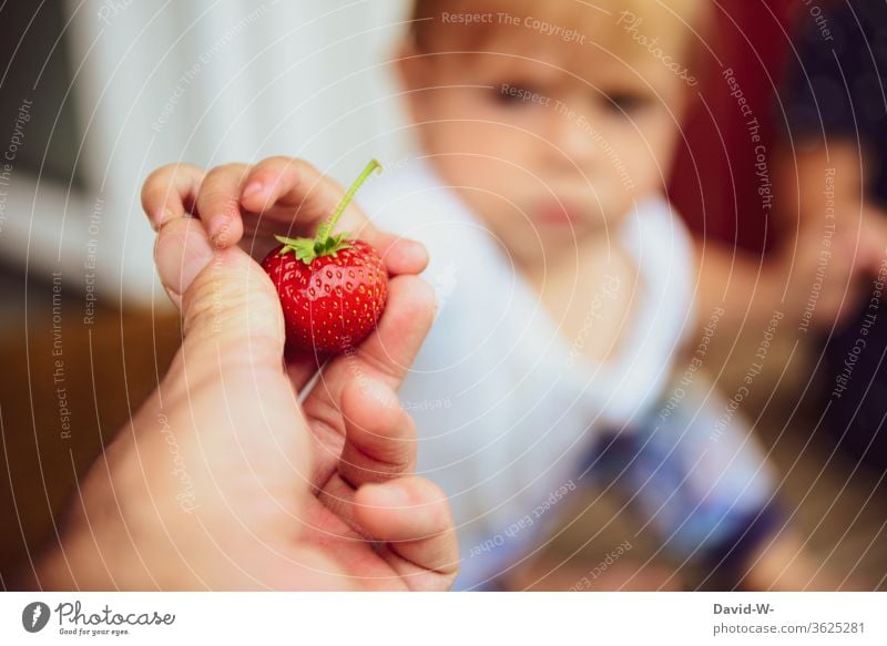 Kind bekommt vom Vater eine Erdbeere Erdbeerzeit Frucht Leckerbissen schön Beerenfrucht obstsorten Obsttorte gesammelt Sammler Sommertag sommerlich ernten