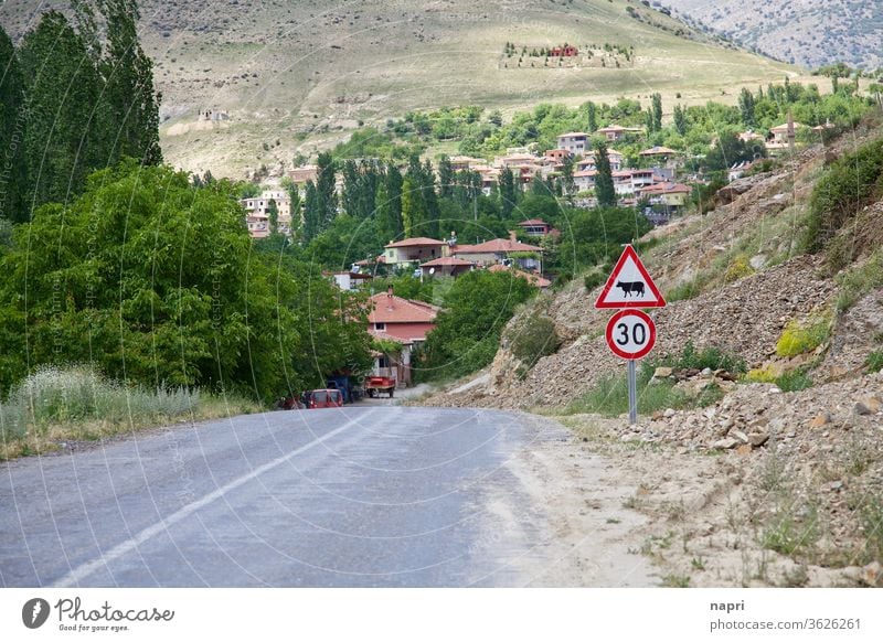 Irgendwo im Nirgendwo | Landstraße, die auf das Dorf Derebag im tiefsten Anatolien, Türkei, zuführt. Tal Berge Landschaft karg grün reisen abgelegen Idylle