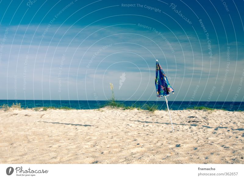 Strand Lifestyle Freizeit & Hobby Ferien & Urlaub & Reisen Tourismus Freiheit Sommer Sommerurlaub Sonne Meer Umwelt Landschaft Sand Wasser Sonnenlicht