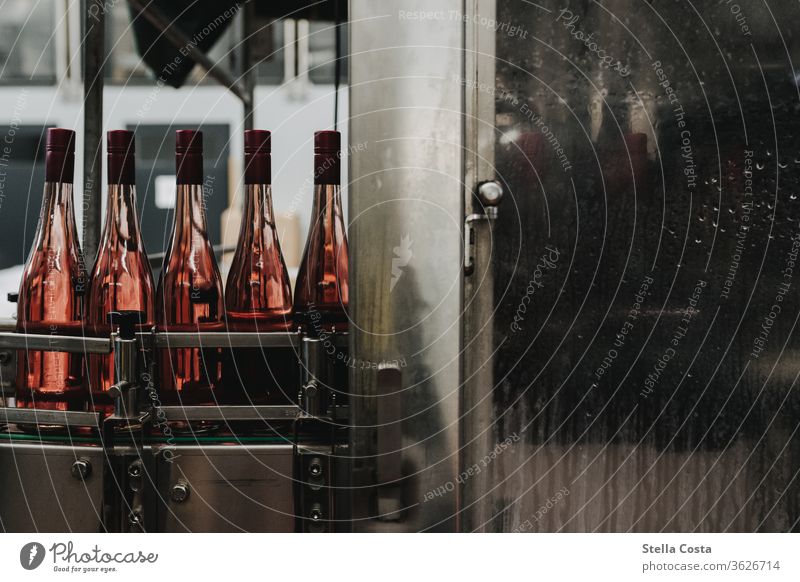 Bilder aus dem Weinkeller bei der Abfüllung von Rosé Roséwein Winzer abfüllung Alkohol Menschenleer Farbfoto Schwache Tiefenschärfe Weinabfüllung weinkellerei