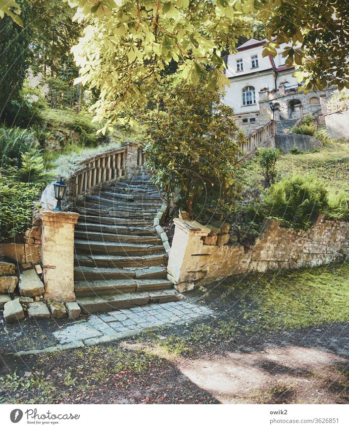 Treppenhaus Treppengeländer Stein alt historisch Sehenswürdigkeit Farbfoto Gedeckte Farben Menschenleer Sonnenlicht Totale Park Garten Villa Palast