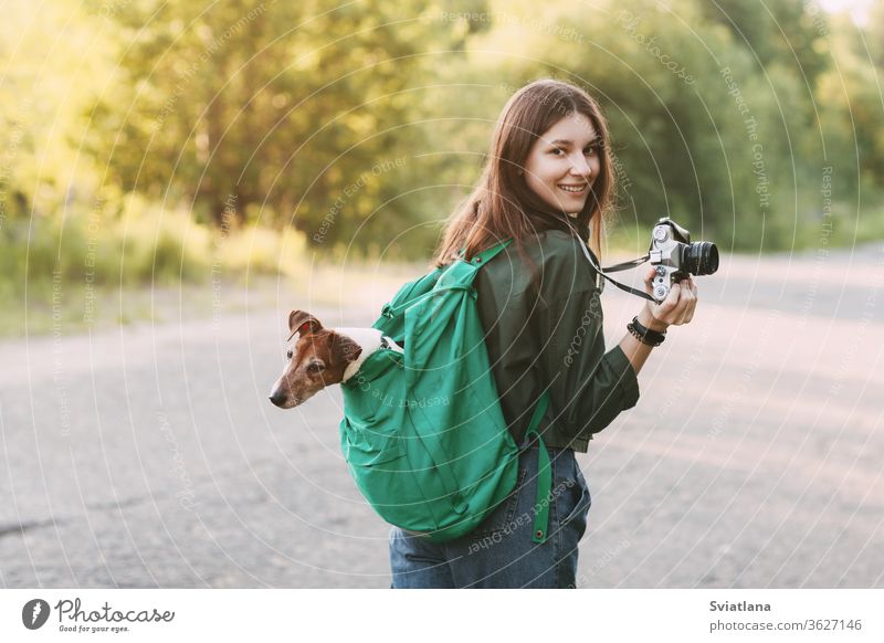 Ein charmantes junges Mädchen geht in der Natur spazieren, hält einen Rucksack auf der Schulter, aus dem ihr Hund herausschaut, und hält eine Kamera in der Hand.