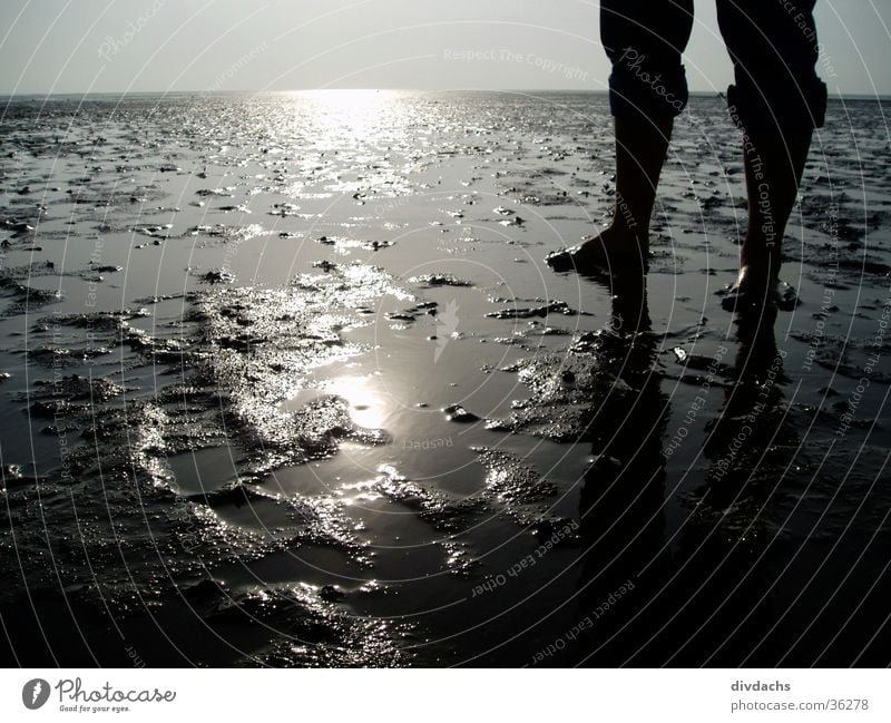 Füße im Watt Meer Wattenmeer Nordsee Fuß Landschaft Wasser