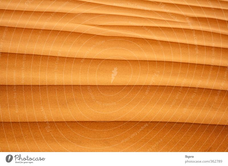 Sand in der Wüste Tunesiens Linie Streifen braun schwarz Konsistenz Sahara winken Kolosse Reihe Lineal wüst Außenaufnahme