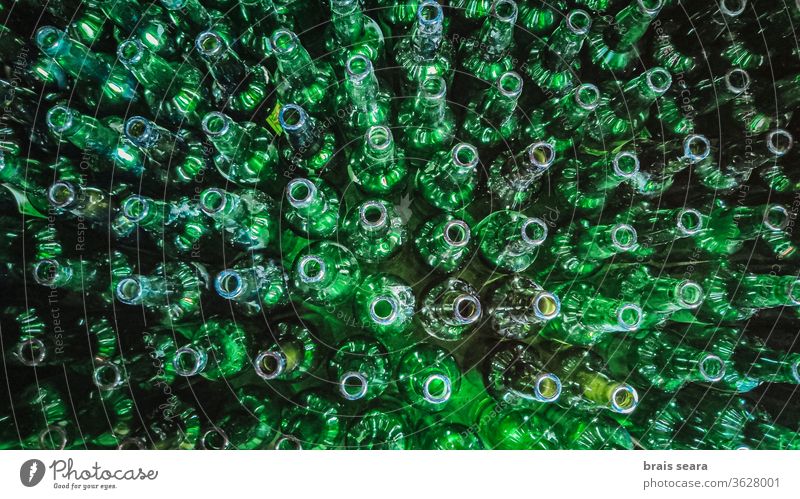 Voller Rahmen mit leeren grünen Apfelweinflaschen Flasche wiederverwendbare Flasche voller Rahmen Apfelwein-Glas Flasche Apfelwein sidre Kristalle Asturien