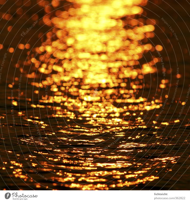 Abendlicht Umwelt Natur Wasser Sonnenaufgang Sonnenuntergang Schönes Wetter Wärme Wellen Küste Nordsee Ostsee Meer Insel gelb gold orange rot schwarz Idylle