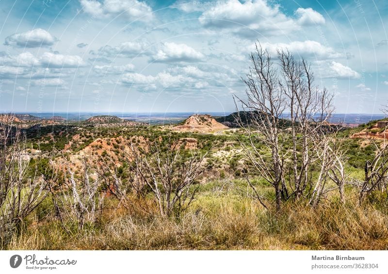 Panoramablick über den Palo Duro Canyon State Park, Texas texas natur duro palo Schlucht wüst Landschaft reisen im Freien Natur palo duro-Schlucht Tourismus
