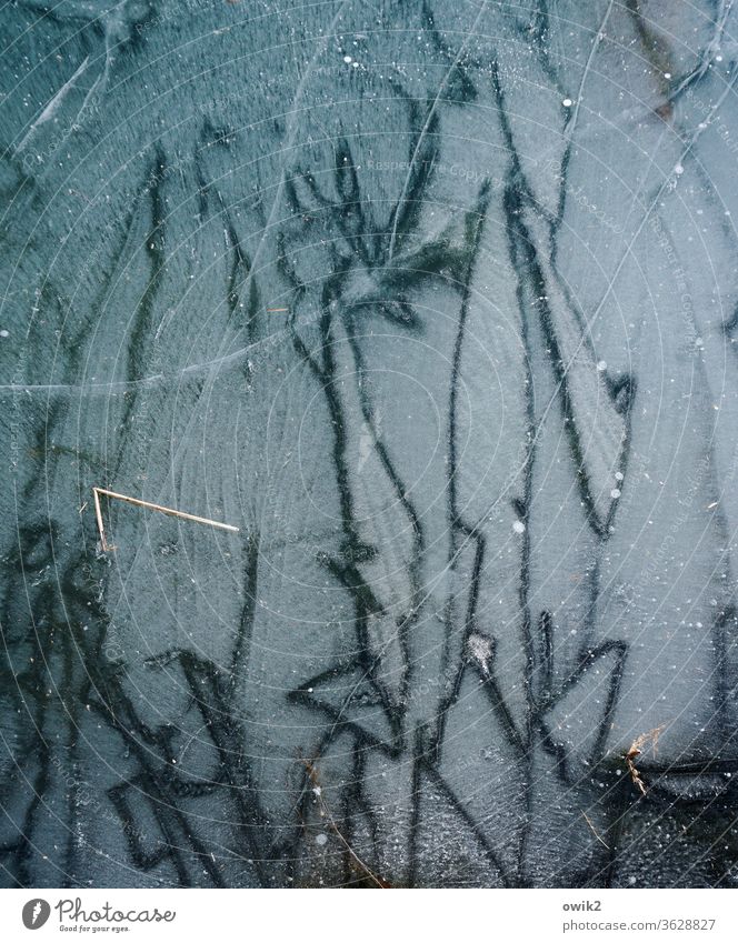 Unterm Eis Linien unten gefroren bizarr kalt Frost Winter Außenaufnahme Menschenleer Tag Farbfoto Natur Strukturen & Formen Detailaufnahme Umwelt
