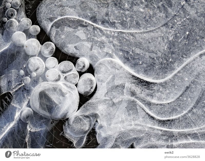 Kalte Spur Umwelt Natur Winter Eis Frost Wellen frieren kalt gefroren Linie Kugel Nahaufnahme Außenaufnahme Luftblase Detailaufnahme abstrakt Muster