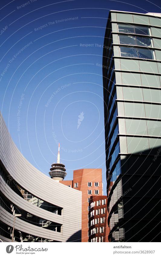 Medienhafen Düsseldorf Hochhaus Fernsehturm Rheinturm Stadt Architektur Skyline Außenaufnahme Sehenswürdigkeit Menschenleer Wahrzeichen Farbfoto Turm Himmel Tag