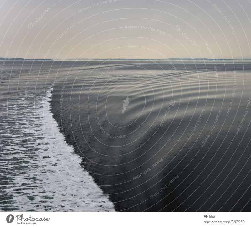 Eine schaumgekrönte weiße Bootswelle trifft die dunkle Wasserkante auf der sich weiche Wellen überlagern und eine ruhige Winterstimmung erzeugen Natur