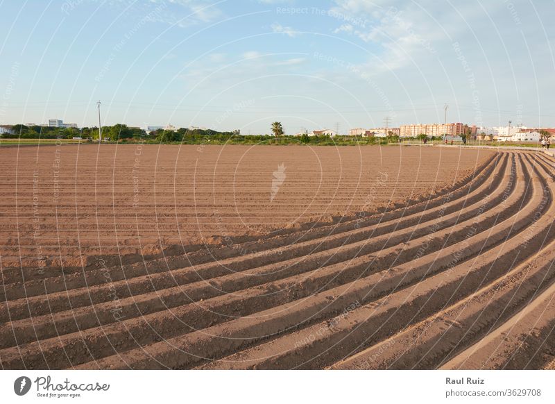 Landwirtschaftliches Feld zur Pflanzung vorbereitet Ansicht Erde Schonung hell im Freien Pflanze Sonnenuntergang Ackerland kultiviert Ackerbau Hülsenfrüchtler