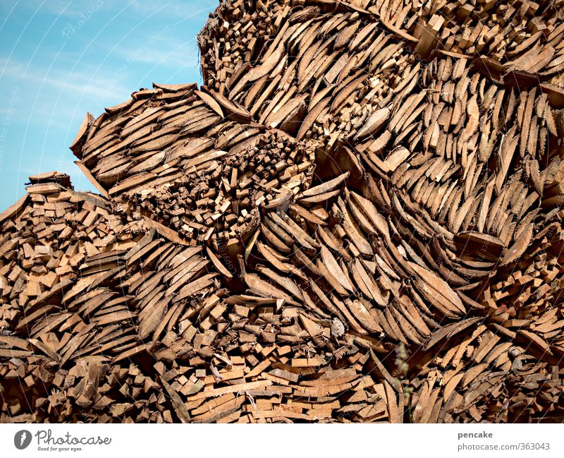 baumaterial | gut holz | AST6 Inntal Natur Urelemente Wald Alpen Holz ästhetisch Duft Originalität Sauberkeit Baumrinde Rest Papierherstellung bauen Baumstamm
