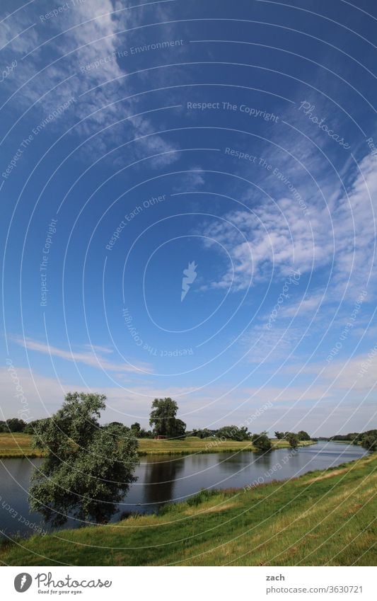 7 Tage durch Brandenburg - Immer das Elbe Wind Natur Sommer Kornfeld Wolken Blauer Himmel blau gelb Landwirtschaft Feld Fluss fließen Kanal Baum ufer