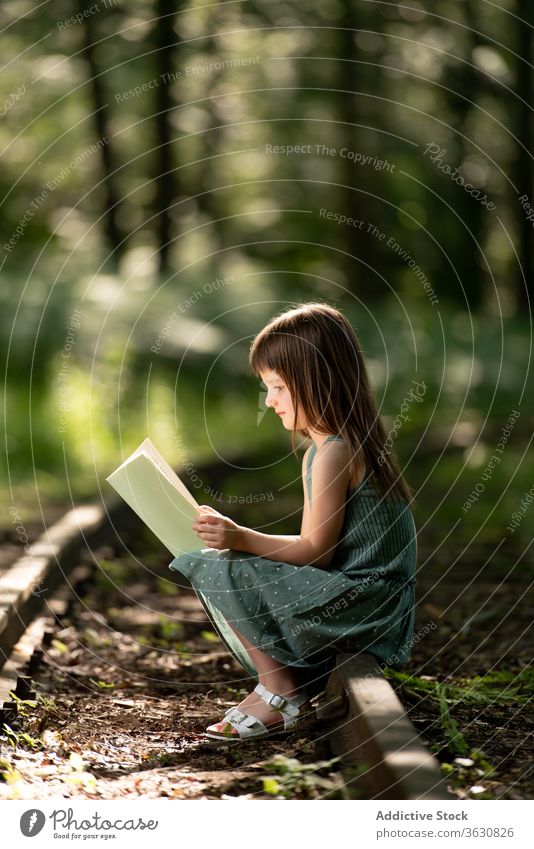Mädchen liest Buch im Park Schock lesen Kind Etage interessant Garten wenig Sommer Kleid aufgeregt bezaubernd niedlich Kindheit Wald Fokus konzentriert