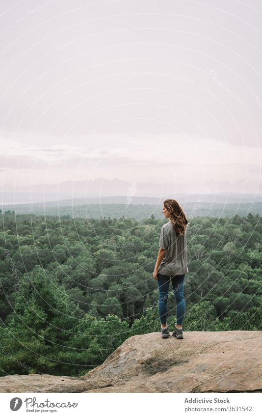 Entspannte Frau genießt Aussicht vom Berg Berge u. Gebirge Wald Natur sich[Akk] entspannen stehen reisen Wanderung Algonquin PP Landschaft See Fluss sonnig