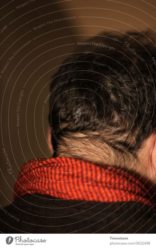 Nackenhaare - Mann, mittleres Alter Haare Haare & Frisuren mittleren Alters Mensch Farbfoto Hals Kopf Haut Rückansicht Innenaufnahme