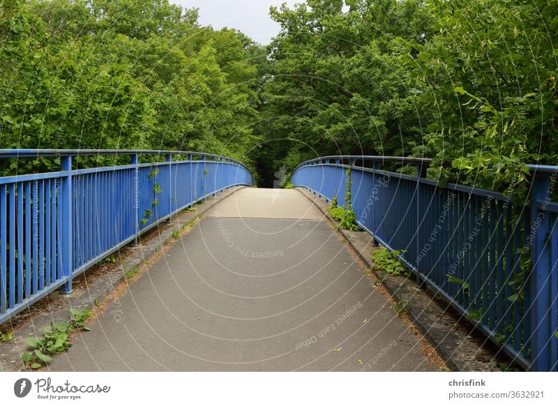 Brücke Fußgängerbrücke Fußweg straße fußgänger spazieren laufen gehen umwelt natur grün pflanzen gebüsch geländer pflanzen metall gerüst
