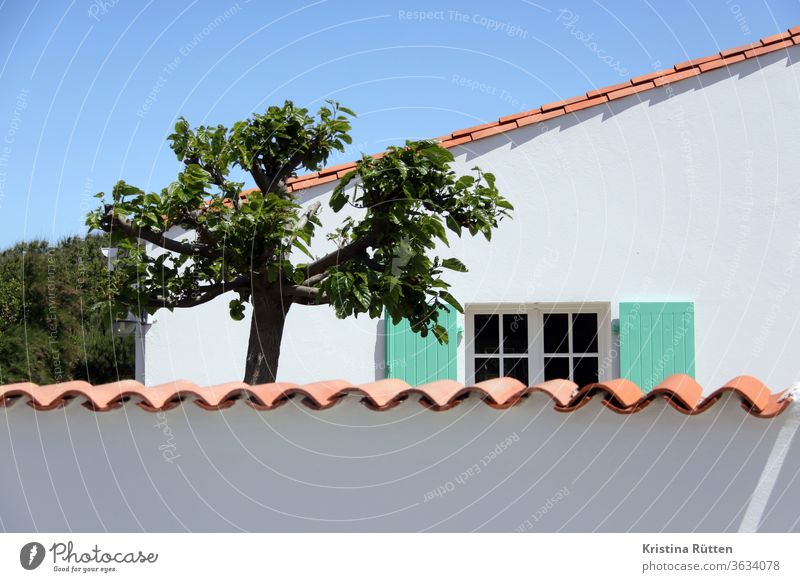 ferienhaus mit privatsphäre mauer fenster baum garten dachziegel fensterläden sichtschutz windschutz gartenmauer sommer urlaub sommerlich sonnig himmel weiß