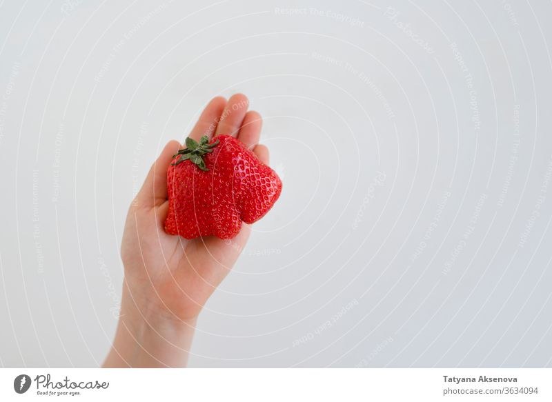 Hässliche Erdbeerfrucht in der Hand. Weniger Lebensmittelabfälle hässlich Erdbeeren organisch Form Gesundheit Verformt unvollkommen Beeren Frucht frisch roh