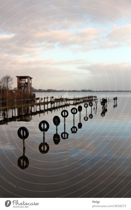 Winterruhe am Dümmer See | Symmetrie Hafen Anleger Steg Spiegelung Wasser Turm Ruhe Stille Himmel Wolken Stimmung Baum Landschaft Natur Umwelt menschenleer